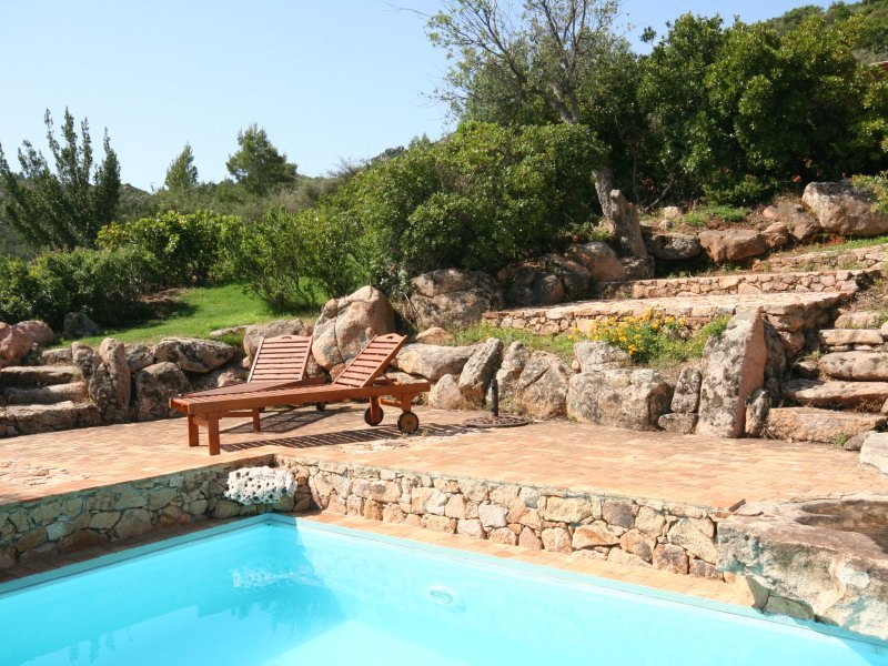 Garten Garten