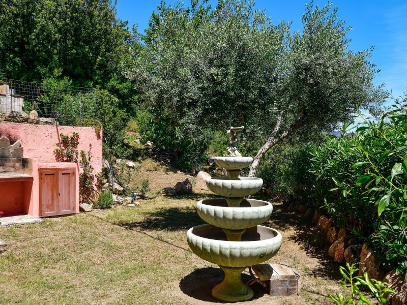Garten mit mediterranen Pflanzen Garten mit mediterranen Pflanzen