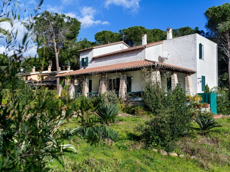Villa Pola eingebettet zwischen grünem Garten und blauem Himmel Villa Pola eingebettet zwischen grünem Garten und blauem Himmel