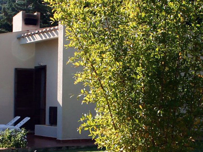 DE: Villa mit großer Terrasse und gepflegtem Garten an der Costa Rei
EN:
IT: DE: Villa mit großer Terrasse und gepflegtem Garten an der Costa Rei
EN:
IT: