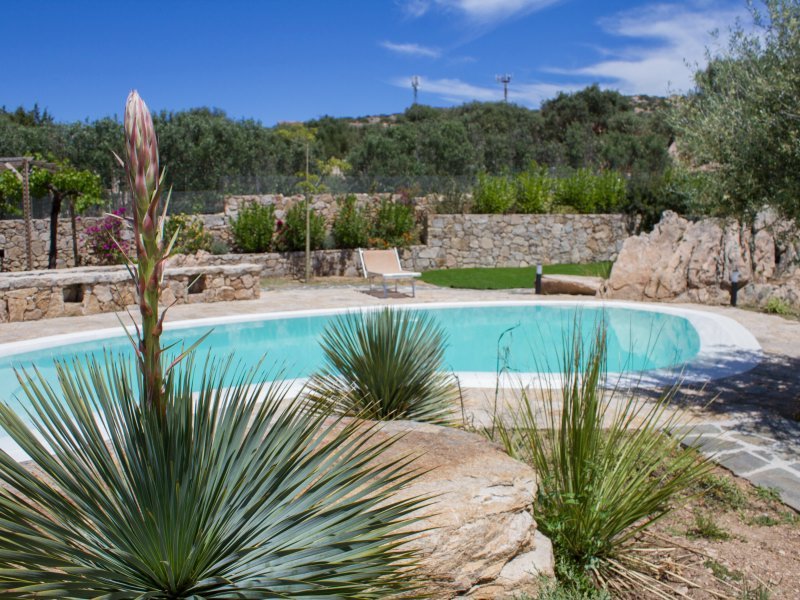 Pool mit Agaven im Garten Pool mit Agaven im Garten