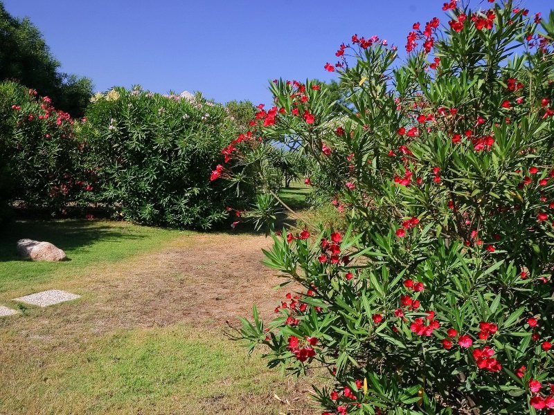 Garten Garten