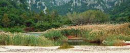 Località - Cala Luna - Sardegna