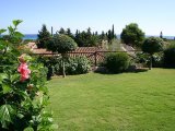 Garden with view