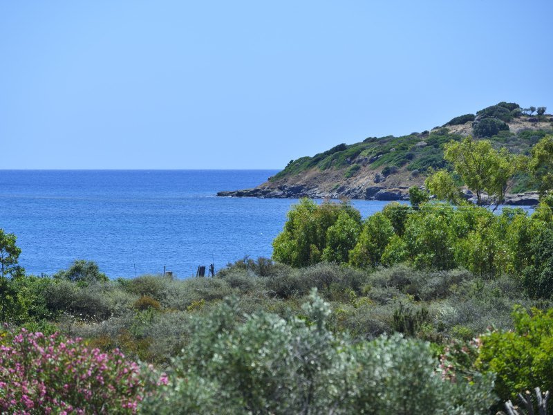 Die Bucht von Is Suergius ist mit mediterraner Macchia immergrün