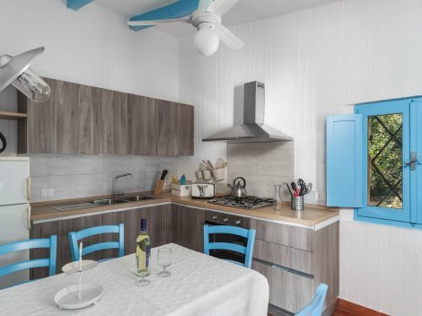 Wohnküche ausgestattet mit Ofen, Gasherd, Spülmaschine und Deckenventilator