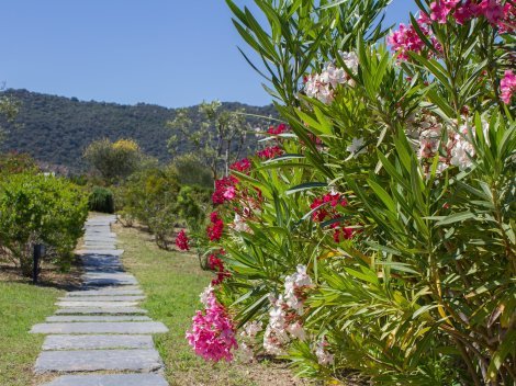 Die großzügige Gartenanlage von Li Conchi ist herrlich eingewachsen