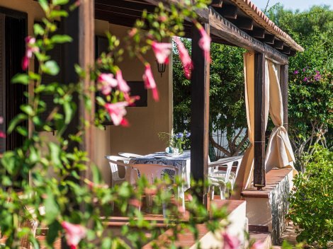 Blühende Kletterpflanzen umranken die Terrasse